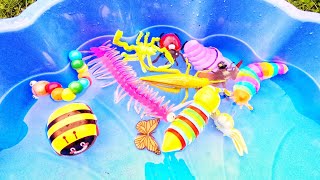 Bugs Fun  Learn Bug Insect Names for Babies Toddlers Preschoolers Kids Snail Caterpillar Bee [upl. by Devlen]