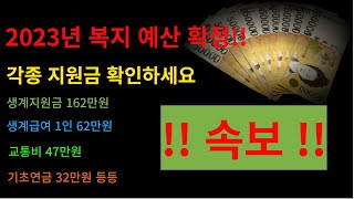 2023년 예산확정 생계지원금 162만원 생계급여 1인 62만원 교통비 47만원 기초연금 32만원 등등 각종 지원금 확인하시고 받아가세요 [upl. by Elolcin631]