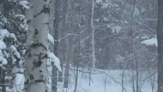 Stopping By Woods on a Snowy Evening by Robert Frost [upl. by Bornie]