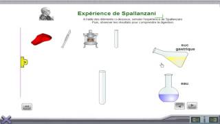 expérience de spallanzani sur la digestion [upl. by Steady]