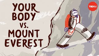 What happens to your body at the top of Mount Everest  Andrew Lovering [upl. by Fagaly]