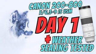 CANON RF 200800f639 IS USM  DAY 1  WEATHER SEALING TESTED  GIVEAWAY WINNERS [upl. by Demitria564]