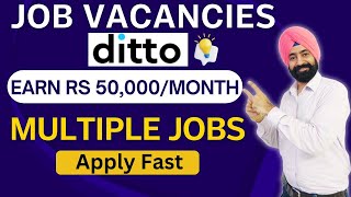 Exciting Job Vacancies at Ditto Earn ₹30000 to ₹50000month [upl. by Dimah]