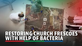 How bacteria is used to restore church frescoes in Spain  ABSCBN News [upl. by Sawtelle418]