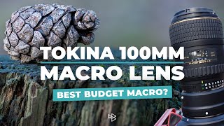 Is This the Best Budget Macro Lens You Can Get [upl. by Anny732]