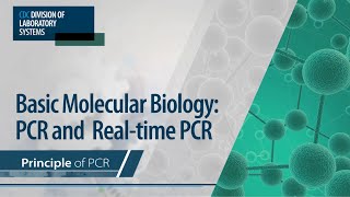 Basic Molecular Biology PCR and RealTime PCR – Principle of PCR [upl. by Vanna948]