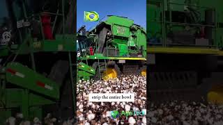 What Makes This Cotton Harvester So Efficient [upl. by Angeline]