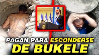 Los PANDILLEROS Que Controlaban El Salvador Ahora Pagan Para Esconderse De Nayib Bukele [upl. by Yrrac648]