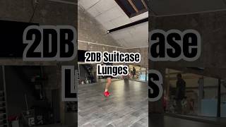 2DB Suitcase Lunges Fentes avec deux haltères prise valise [upl. by Ridinger489]