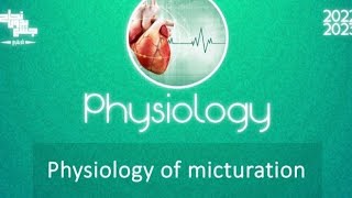 Revision of L8 Physiology of Micturition Physiology [upl. by Zenia]