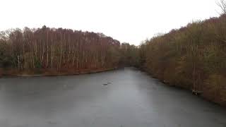 Telford Ultimate Guide Shorts  Little Dawley pools big freeze [upl. by Alo349]