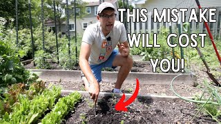 Most Gardeners Get THIS Wrong About Their SOIL [upl. by Millburn]