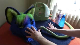 How to Clean a Fursuit  Odin Wolf Reupload [upl. by Haakon995]