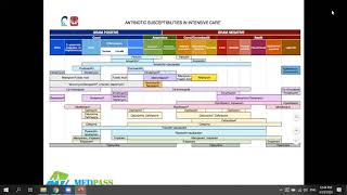 Internal Medicine Review II [upl. by Adnawaj802]