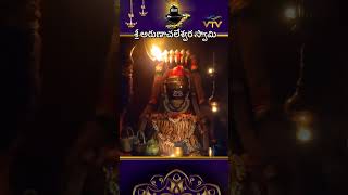 Shri  Arunachaleshwara Swamy  Special Aarthi Darshan  Monday [upl. by Amble]