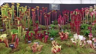 Gardeners World Live 2024 Walk Round Tour [upl. by Raclima272]