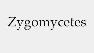 How to Pronounce Zygomycetes [upl. by Eelyme]