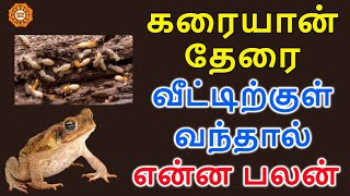 வீட்டிற்குள் தவளை தேரை கரையான் வந்தால் என்ன பலன்  therai thavalai veetukul vanthal enna palan [upl. by Kiah652]