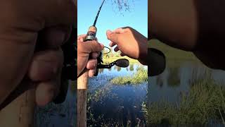 Pesca de bass en Houston Texas  Frank big fish [upl. by Paterson336]