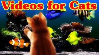 Videos for Cats to Watch  FISH video for Cats [upl. by Ninnette]