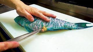 Blue Toxic Parrot Fish Sashimi  Japanese Street Food in Okinawa [upl. by Cissie897]