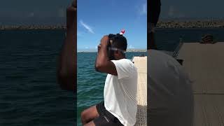 Life on the sailboat 🖤⚓️ catamaran sailing deepsea travel highlights yacht sea virlvideo [upl. by Shay179]