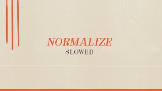 Mother Mother  Normalize Slowed DownOfficial Visualizer [upl. by Cato71]