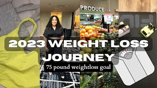 2023 Weight Loss Journey  Losing 75 pounds [upl. by Wendelin]