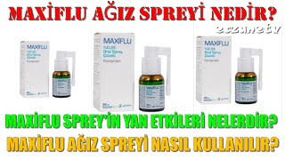 Maxiflu Ağız Spreyi Nedir Maxiflu Spreyin Yan Etkileri Nelerdir Maxiflu Sprey Nasıl Kullanılır [upl. by Russi]