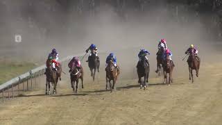 Stanthorpe 21102023 Race 4 [upl. by Keith]