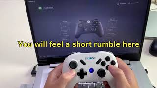 Exlene pro controller AXBY buttons SWAP on PC [upl. by Neehar]