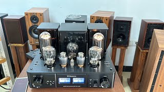 Upgraded PSVANE ACME series in Willsenton R800i 300B 805 tube Singleended Class A Integrated Amp [upl. by Aicnilav916]