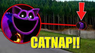 Drone Catches CATNAP IN REAL LIFE Poppy Playtime Chapter 3 [upl. by Koa450]