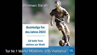 Tor des Jahres 2023 Südkurier Regiosport Hochrhein Tor Nr 1 Marko Mijatovic VfB Waldshut [upl. by Radford504]