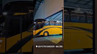 Rilis  Maximiles Trans Jetbus 5 [upl. by Htebasile777]