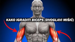 TRENING ZA BICEPS U TERETANI  GYM PART 1 [upl. by Gladdie571]