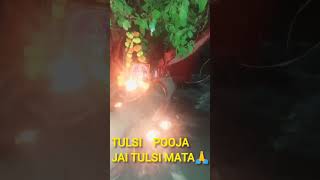 Tulsi poojaytshortjaimataditulsivivahshortvideotrendingviralreel [upl. by Jowett77]