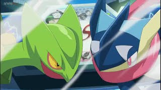 Greninja vs sceptile  liga de kalos semi final [upl. by Eelhsa387]