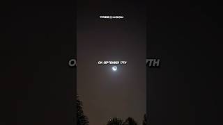 Supermoon amp Partial Lunar Eclipse September 17 2024 [upl. by Mode465]