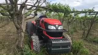 Kubota M5091 DTN in vigneto a tendone [upl. by Ruon557]