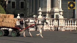 SIZILIEN  Teil 2 quotGlanzlichter von Syrakus Catania und den Ätna entdeckenquot SICILY  SICILIA [upl. by Refinnaej]