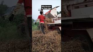 Massey Ferguson 9500 58 HP performance on krishi darshan 45 hp thresher  Soybean threshing [upl. by Gargan]