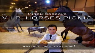 MIRON BOCOCI  Madrid Horse Week 2015 1080p [upl. by Sherr272]