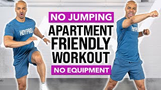 NO NOISE Low Impact FULL BODY Apartment Friendly Small Space Workout No Jumping No Equipment [upl. by Arodasi]