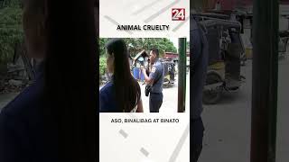 Aso sinaktan at binato ng kaniyang amo shorts  24Oras [upl. by Atiuqihc]