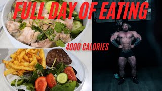 Full Day of Eating during a Bulk  IFBB Pro Paulie V [upl. by Eralcyram707]