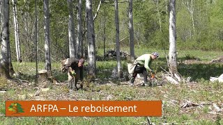 ARFPA  Le reboisement [upl. by Sammie]