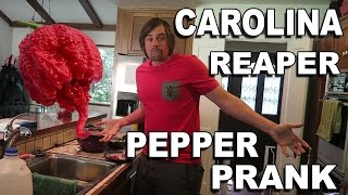 Carolina Reaper Pepper Prank  Wife Vs Husband [upl. by Sokairyk]