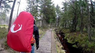 Wandern im Harz Harzer Hexenstieg  Von Osterode nach Thale [upl. by Amitarp63]