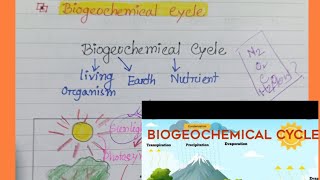 Biogeochemical Cycle Geography [upl. by Yasmine]